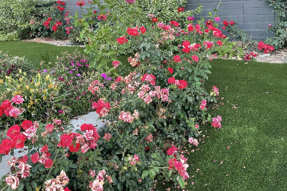 Photo of Outdoor in Thousand Oaks