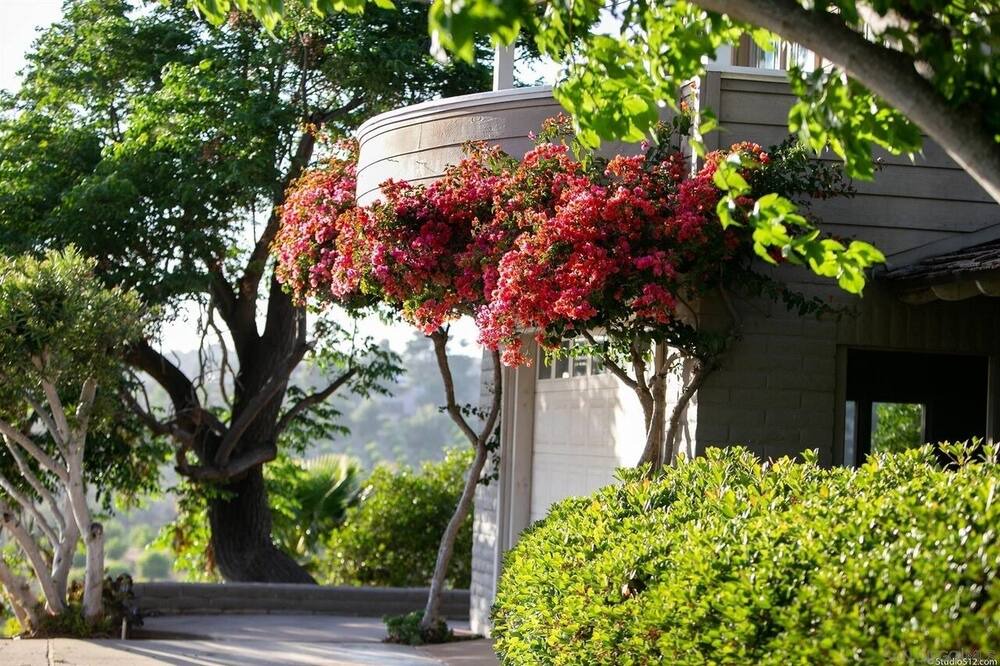 Photo of Outdoor in Escondido