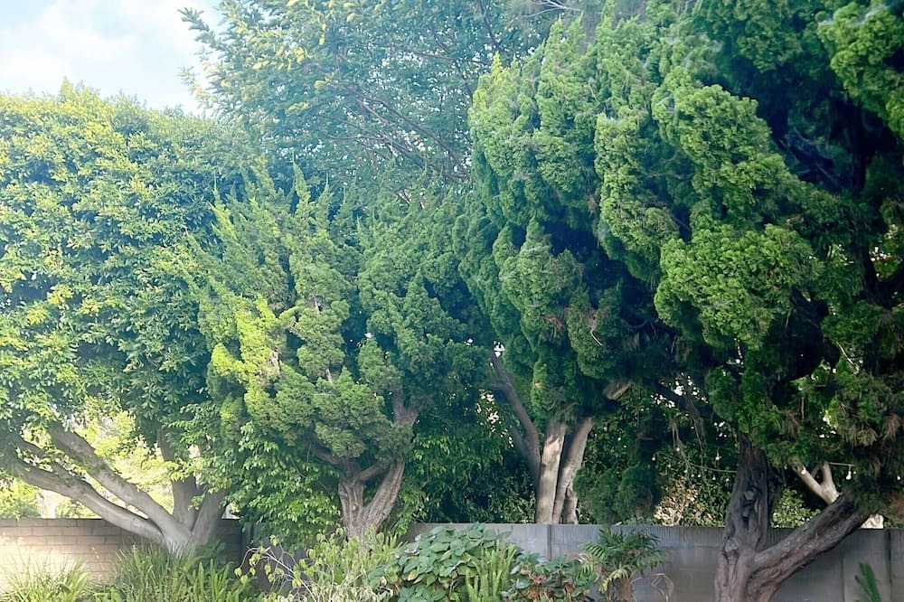 Photo of Outdoor in Fountain Valley