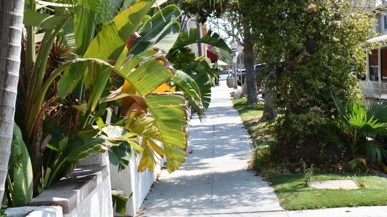 Photo of Outdoor in Belmont Shore