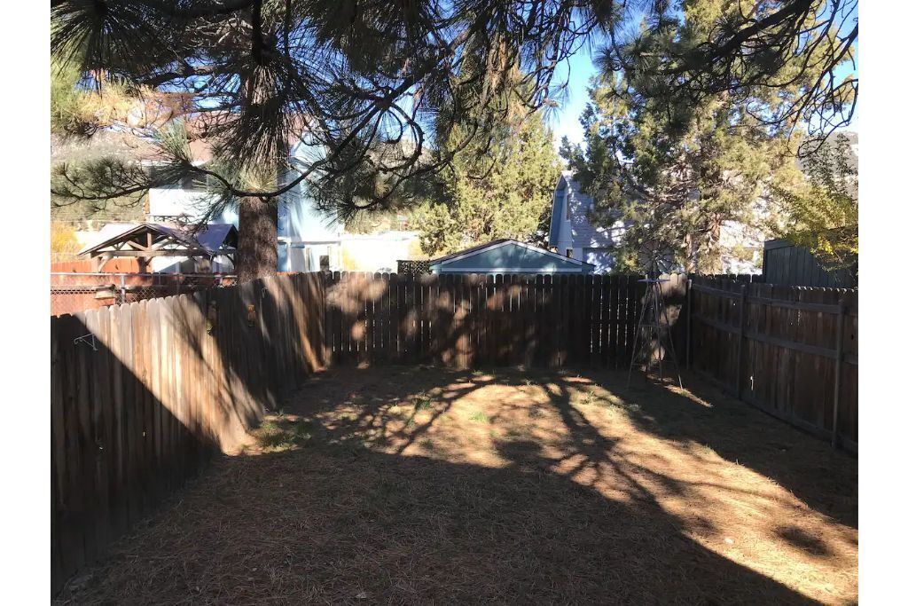 Photo of Outdoor in Whispering Forest