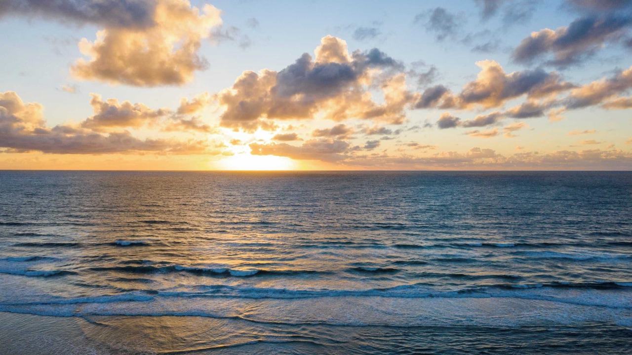 Photo of Others in South Mission Beach