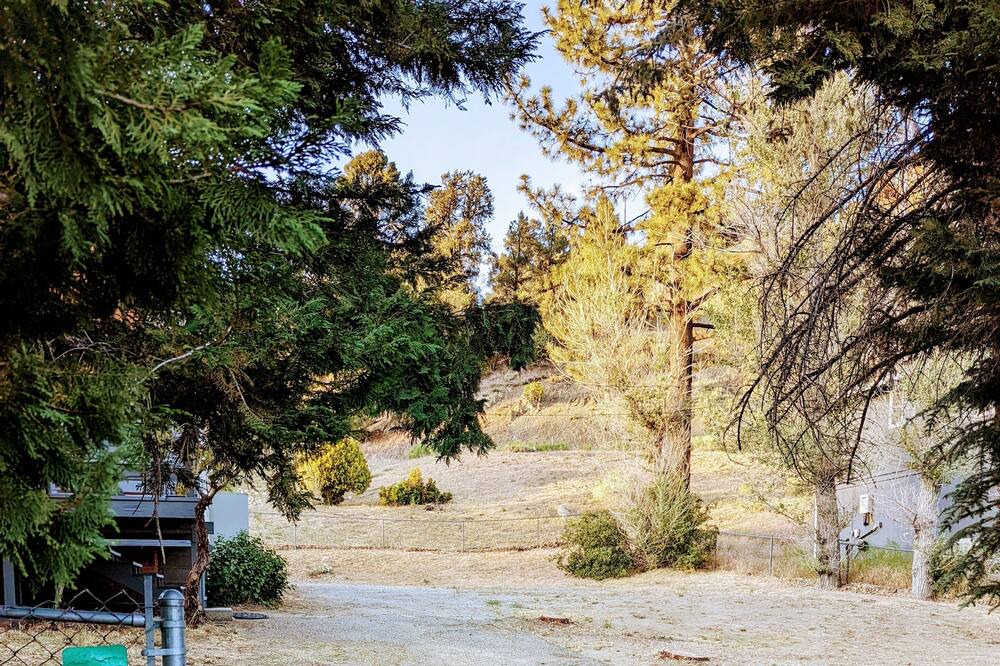 Photo of Outdoor in Frazier Park