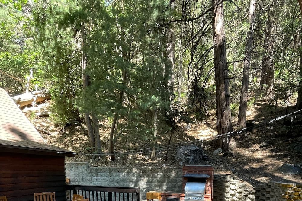 Photo of Outdoor in Blue Jay