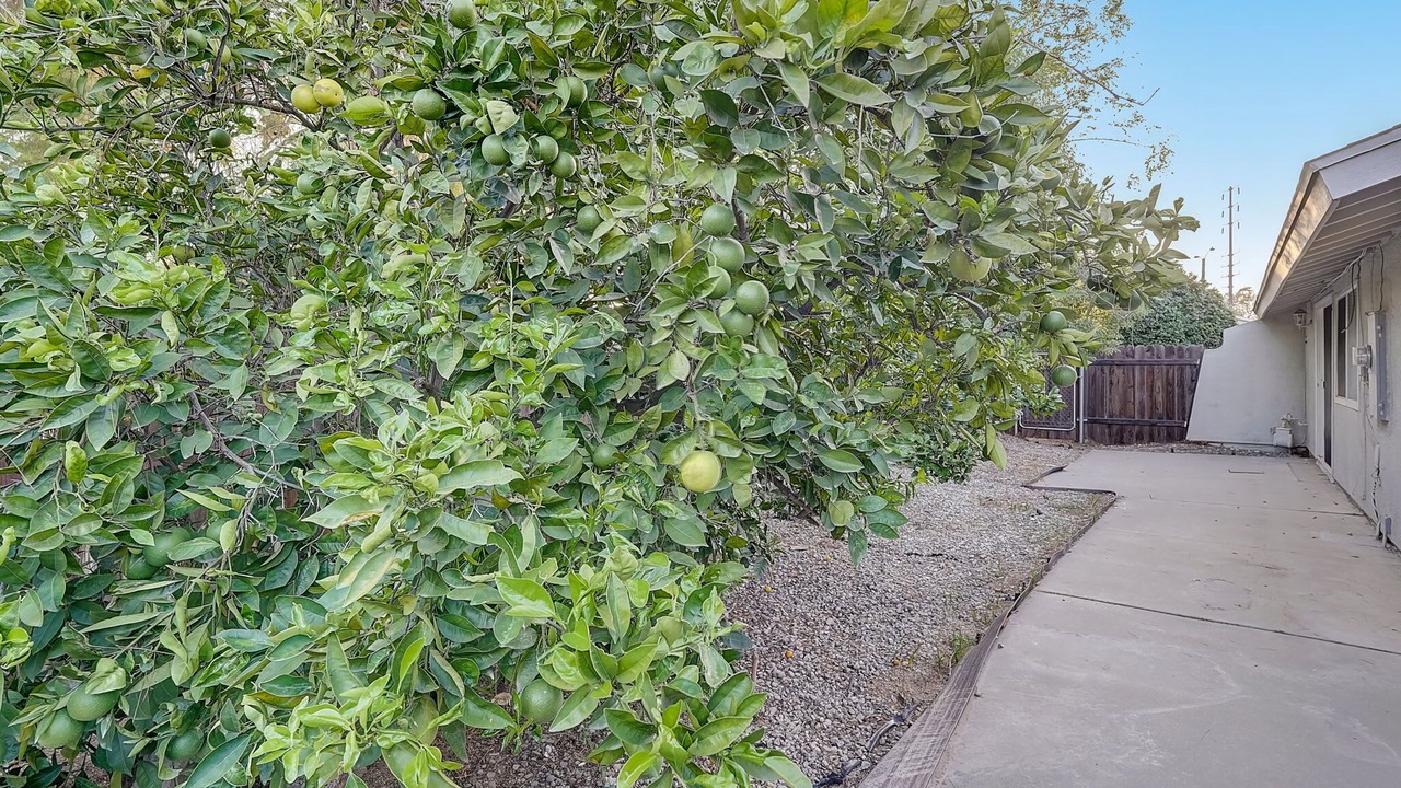 Photo of Outdoor in Estates at Canyon Crest