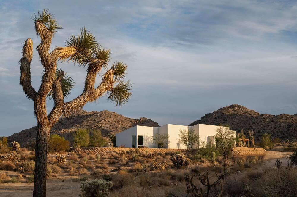 Photo of Others in Joshua Tree