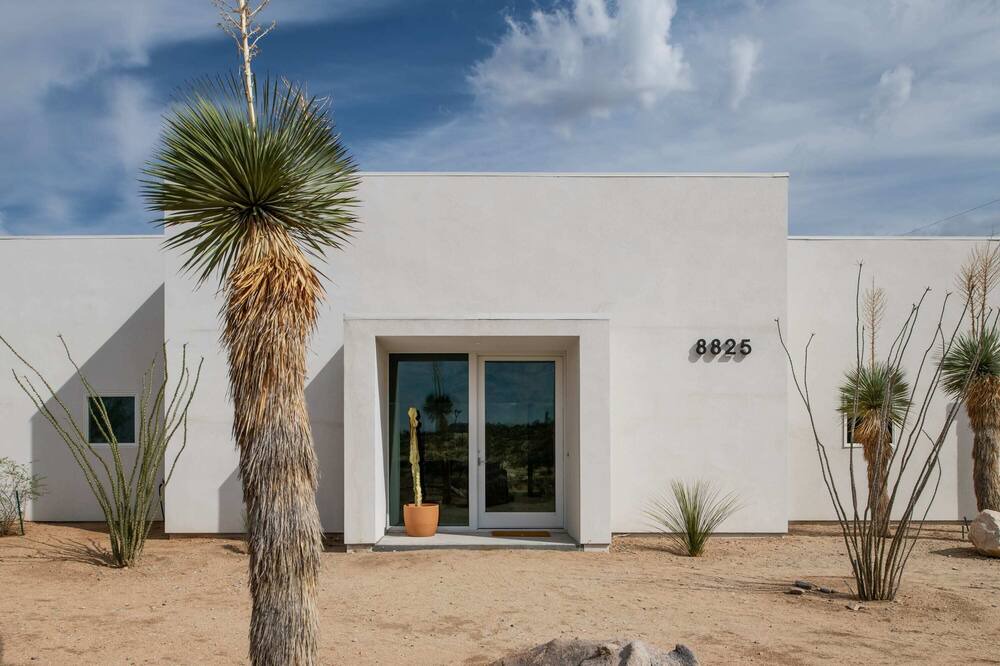 Photo of Others in Joshua Tree