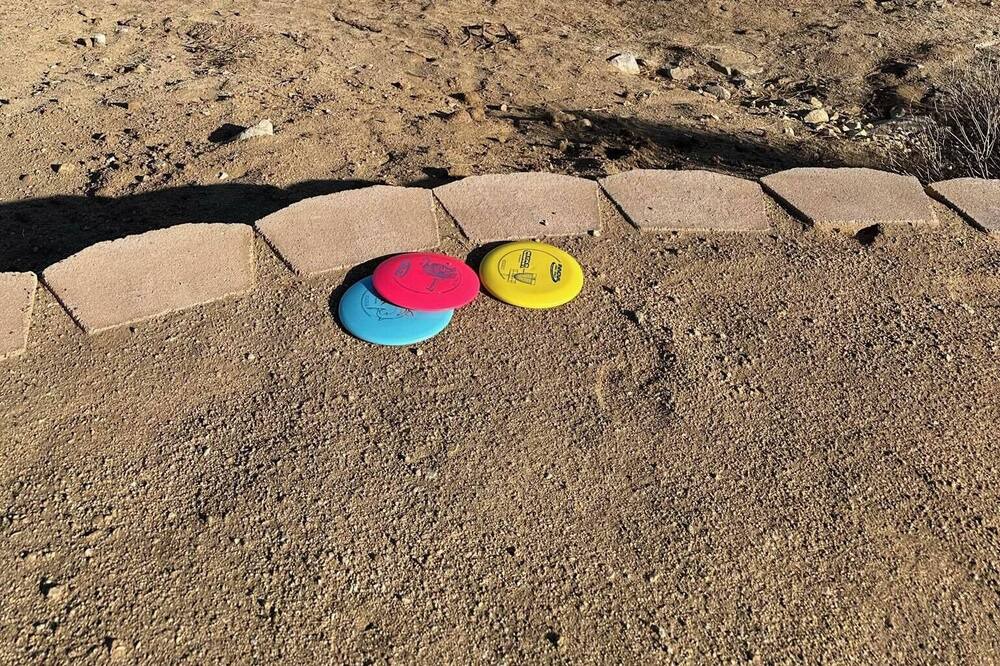 Photo of Others in Joshua Tree