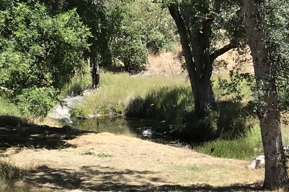 Photo of Outdoor in Mariposa