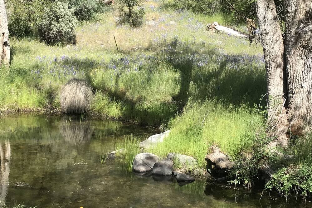 Photo of Others in Mariposa