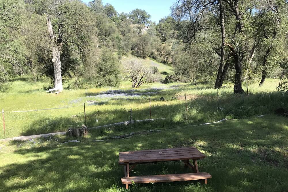 Photo of Outdoor in Mariposa