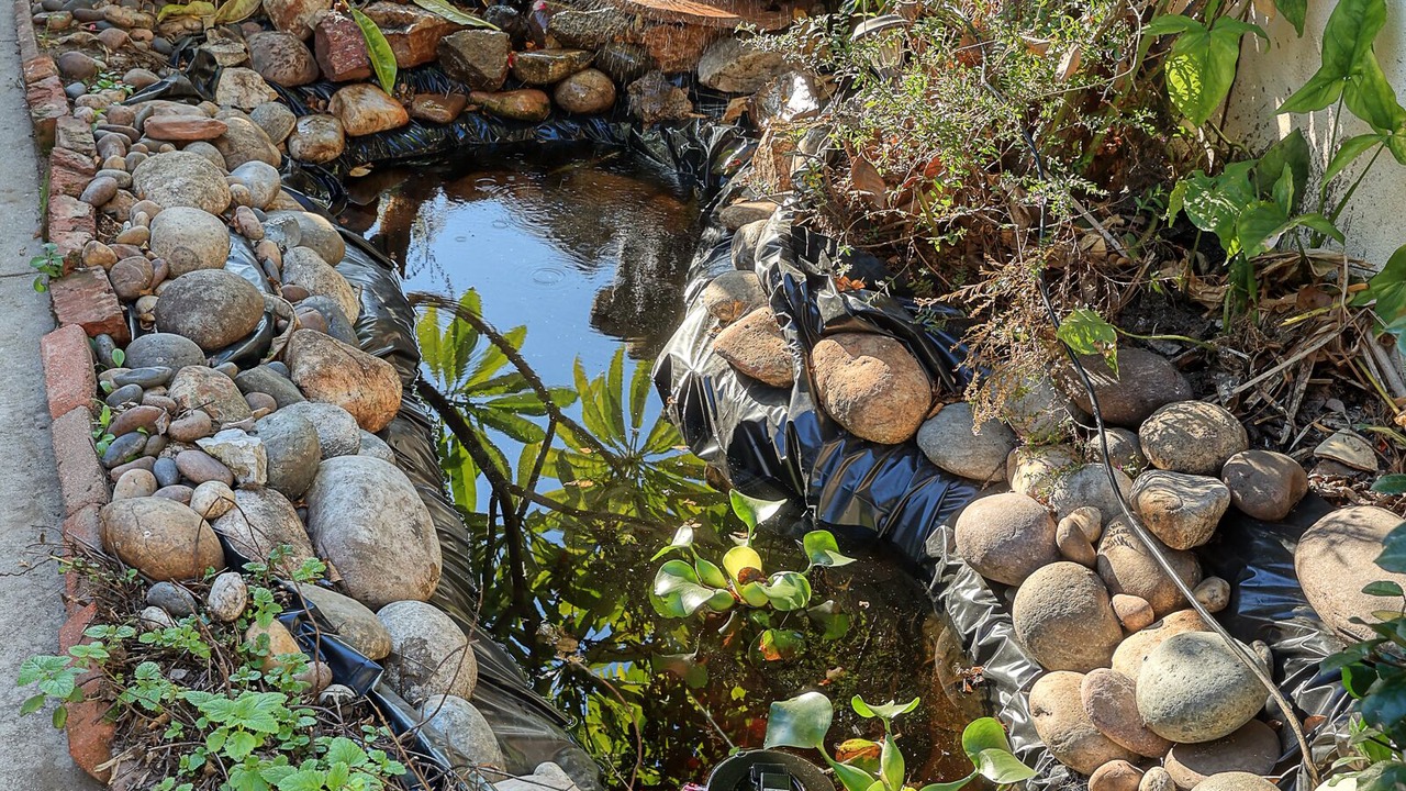 Photo of Outdoor in Mayflower Village