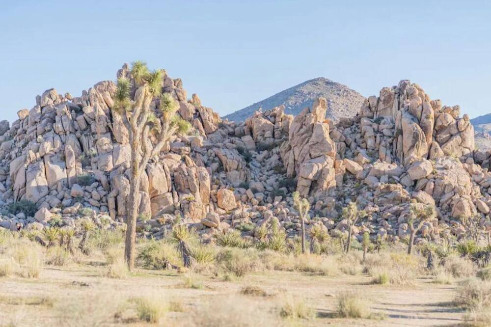 Photo of Others in Twentynine Palms