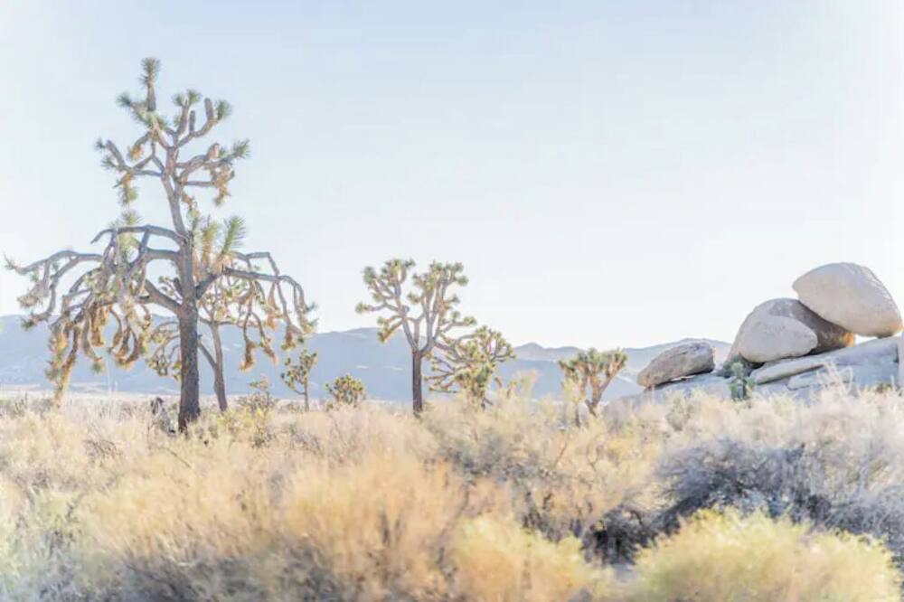 Photo of Outdoor in Twentynine Palms