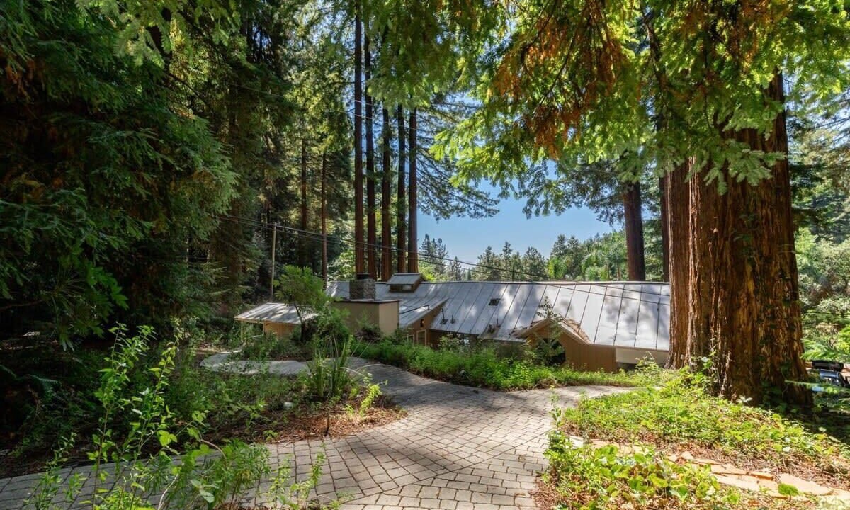 Photo of Outdoor in Los Gatos
