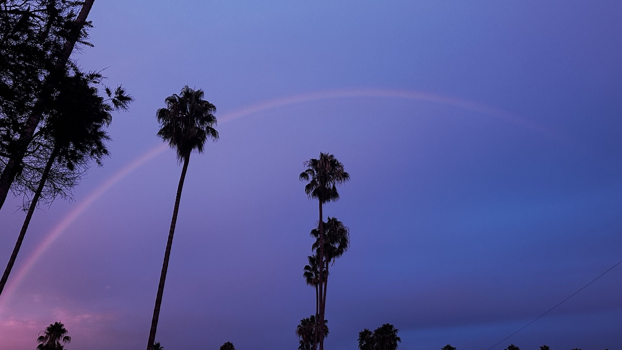 Photo of Others in Park Mesa Heights