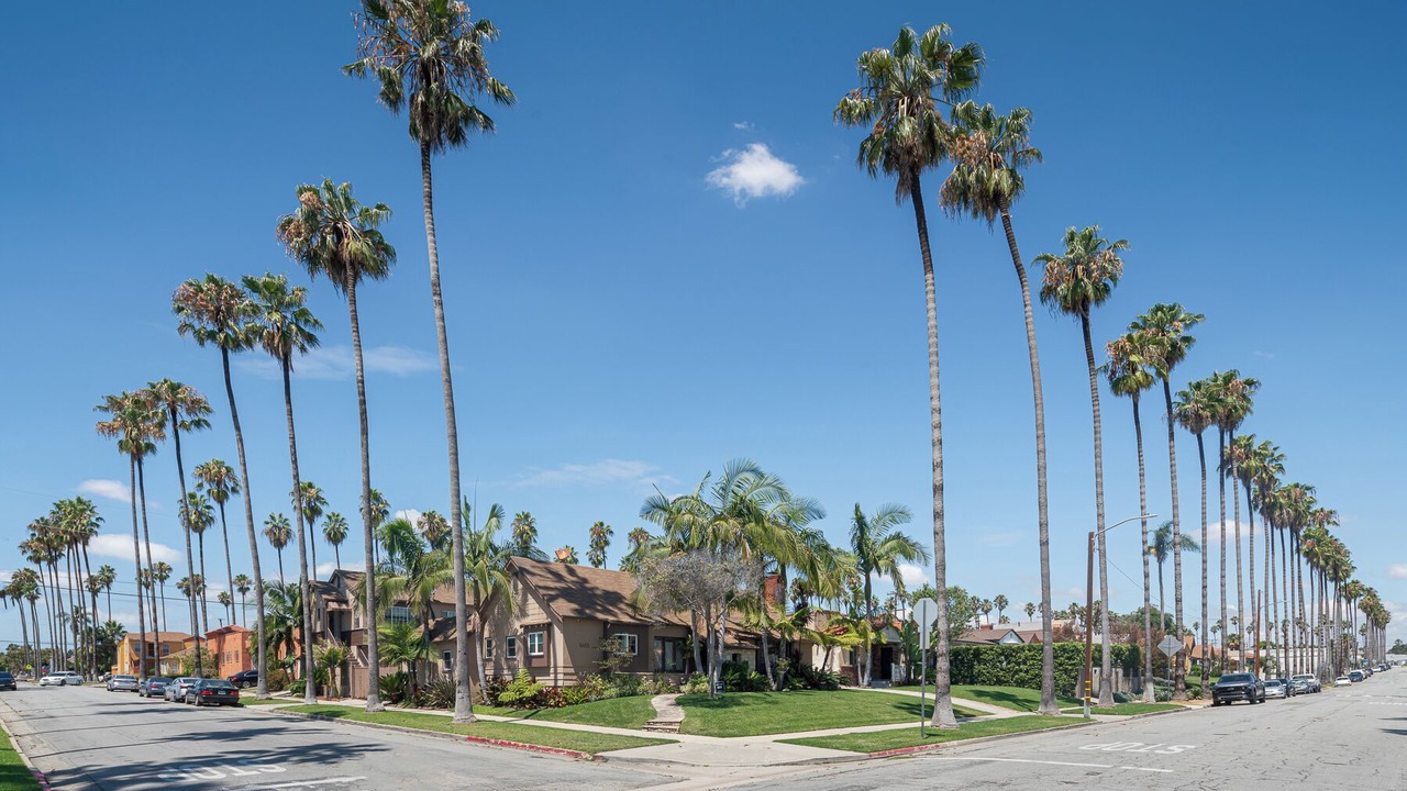 Photo of Others in Park Mesa Heights