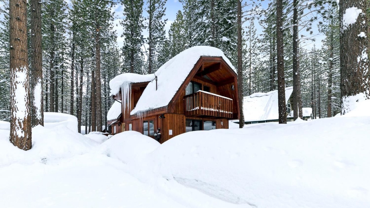 Photo of Outdoor in Black Bart