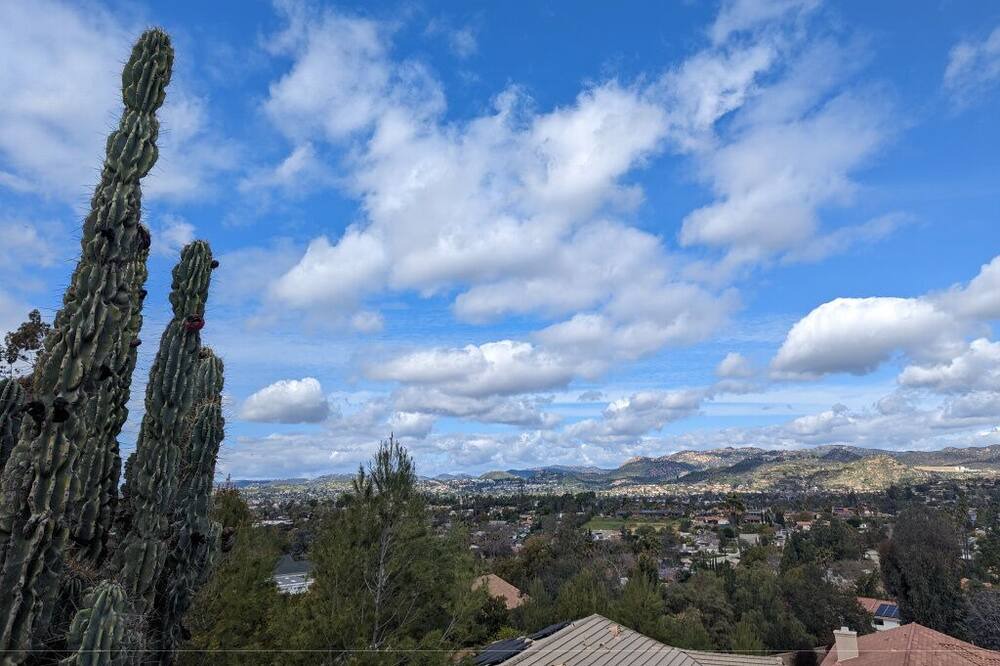 Photo of Outdoor in East Grove