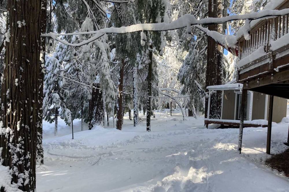Photo of Others in Pollock Pines