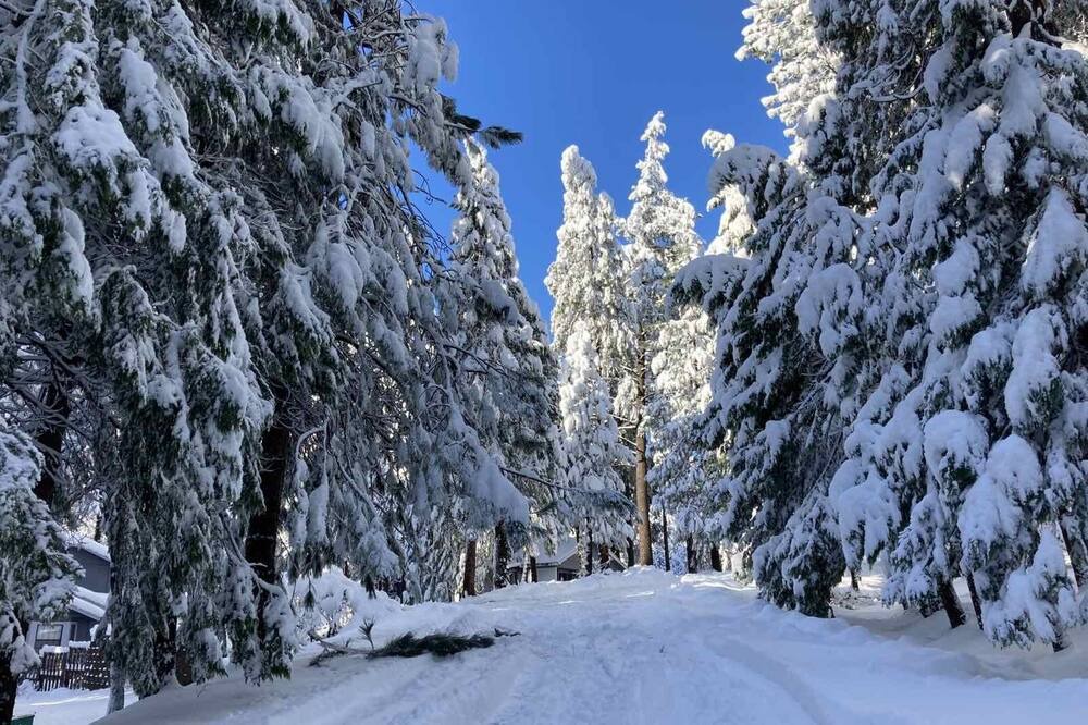 Photo of Outdoor in Pollock Pines