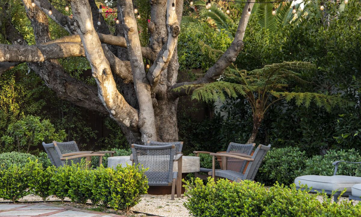 Photo of Outdoor in Hedgerow