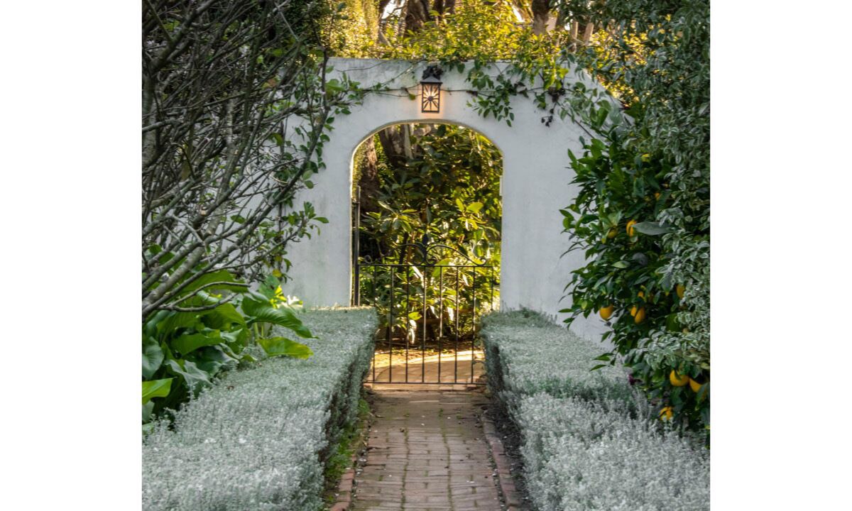 Photo of Outdoor in Hedgerow