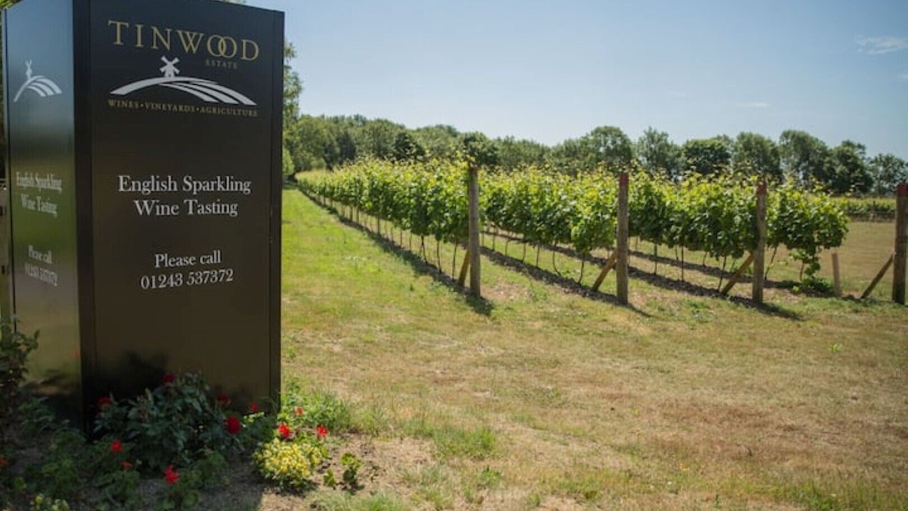 Photo of Outdoor in Oving