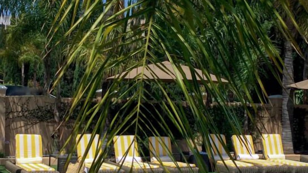 Photo of Outdoor in East Hollywood