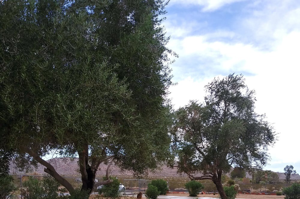 Photo of Outdoor in Indian Cove