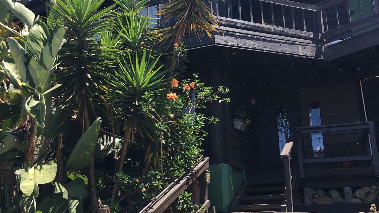 Photo of Outdoor in San Marcos