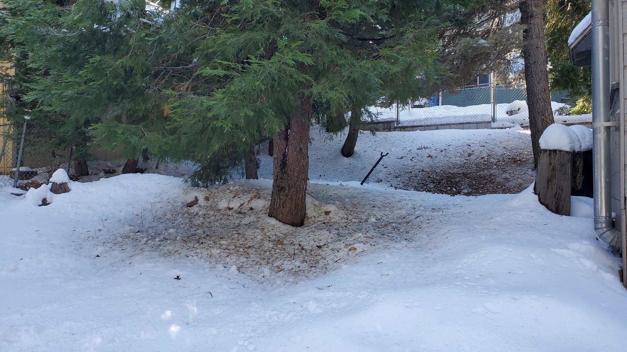 Photo of Outdoor in Cedar Glen
