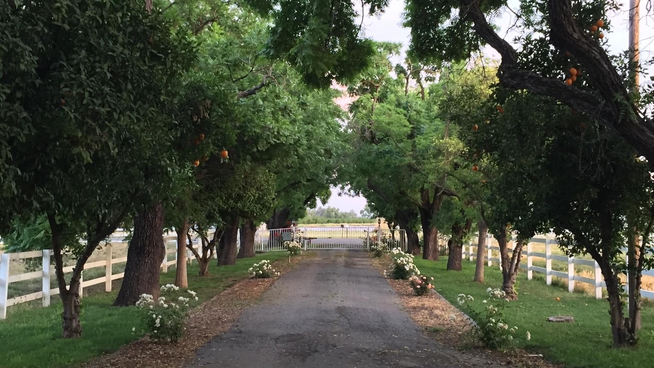 Photo of Outdoor in Yuba City