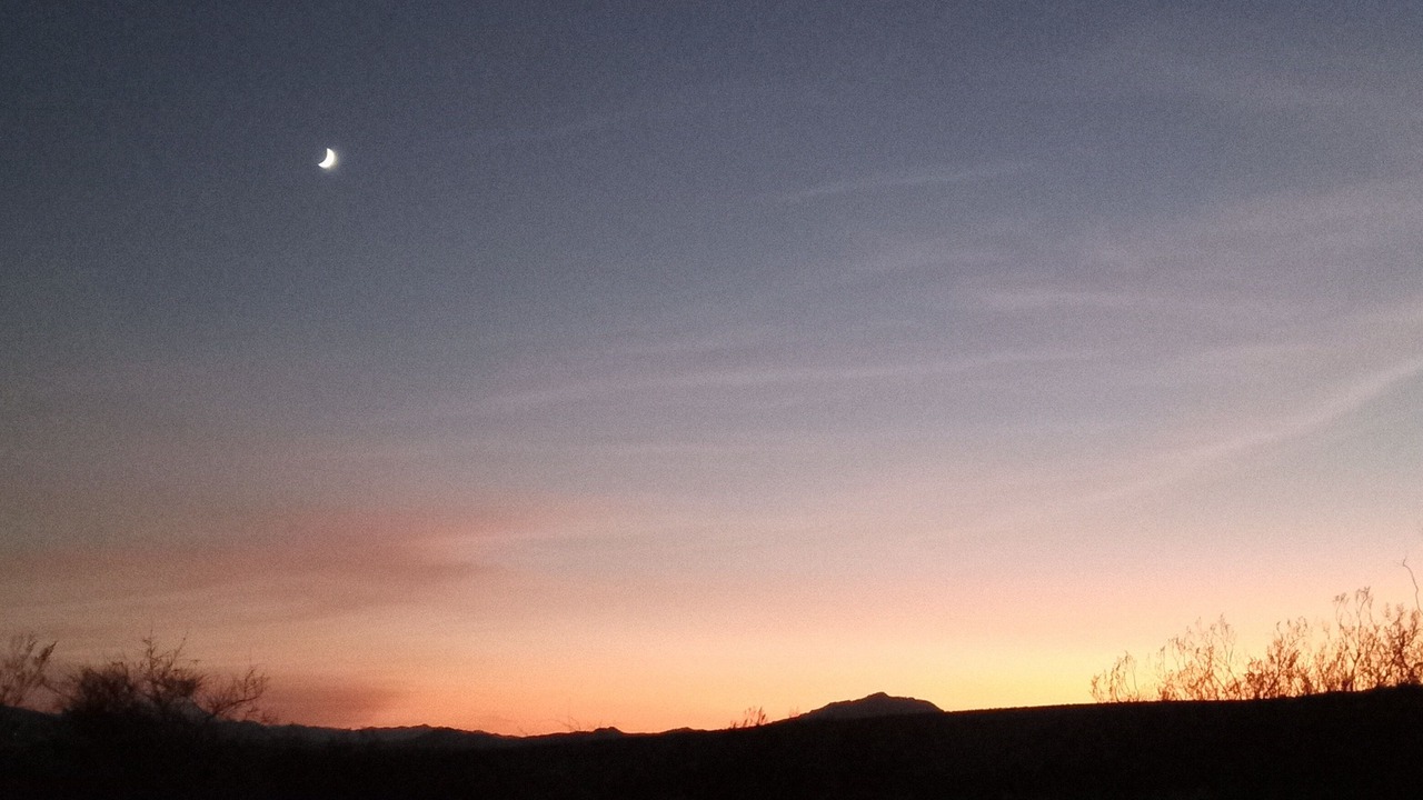 Photo of Others in Twentynine Palms