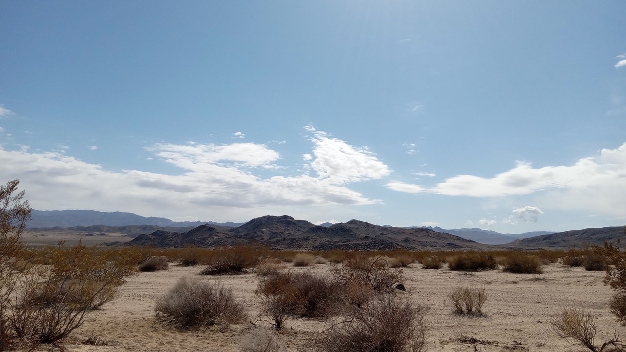 Photo of Others in Twentynine Palms