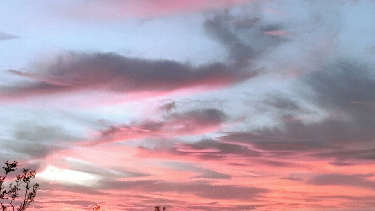 Photo of Others in Twentynine Palms