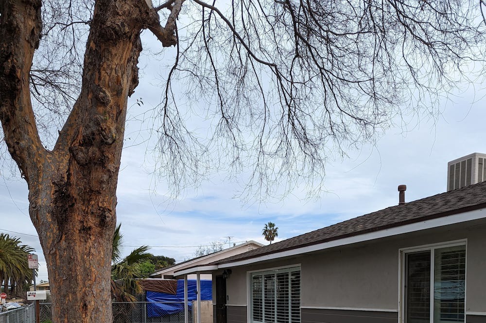Photo of Outdoor in Santa Paula