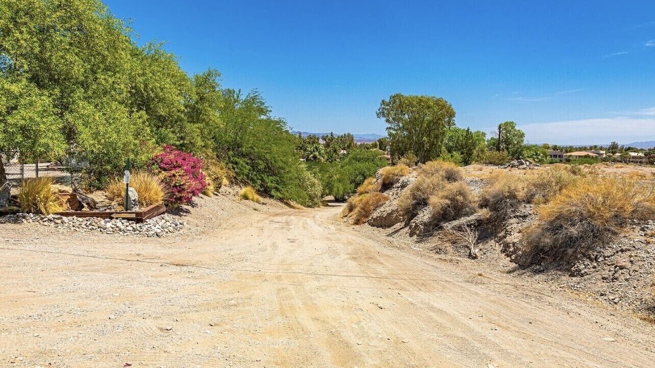 Photo of Outdoor in Needles