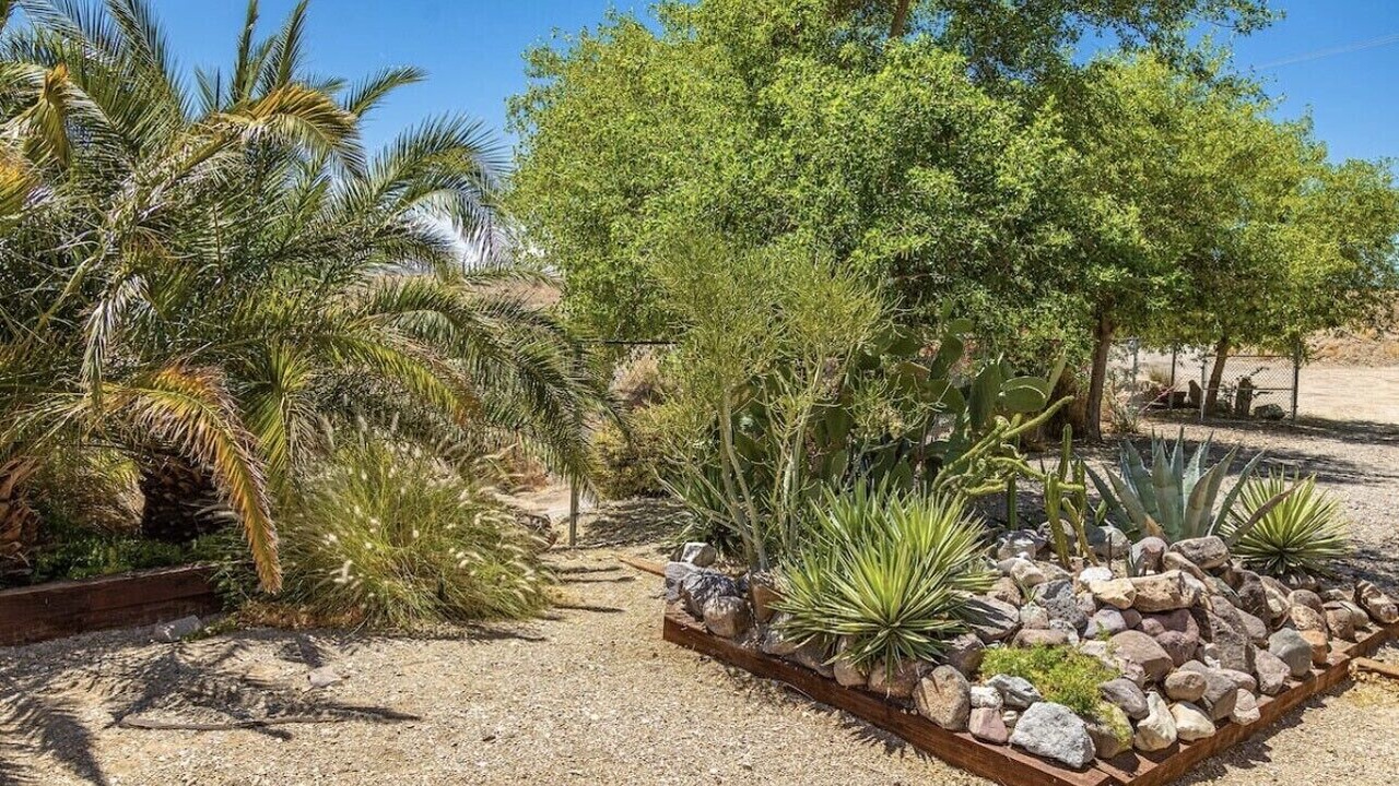 Photo of Outdoor in Needles