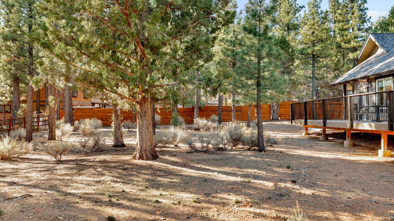 Photo of Outdoor in Woodlands