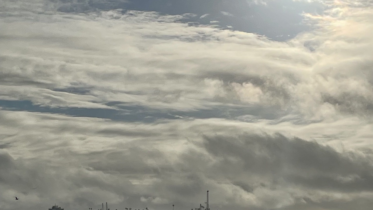 Photo of Others in Harbor