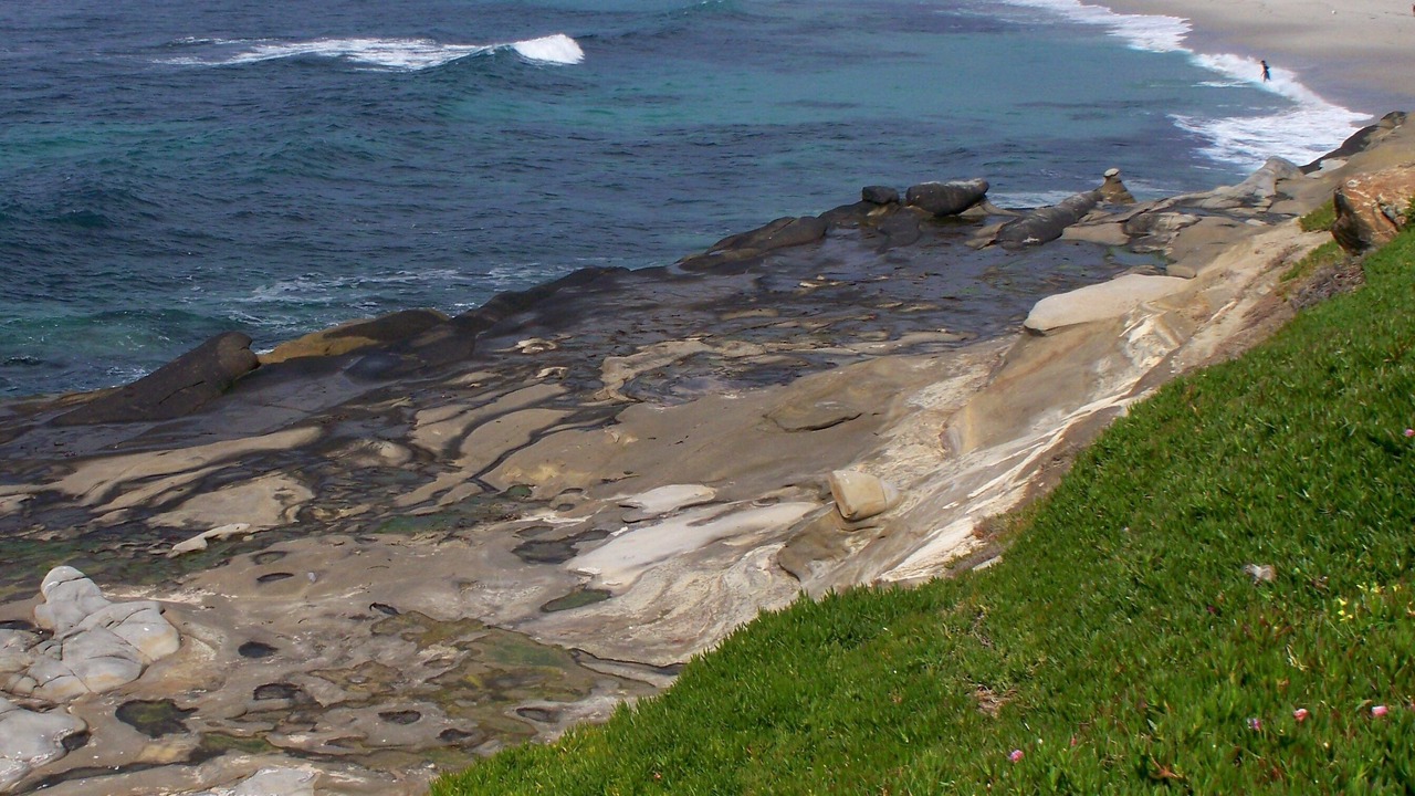 Photo of Others in Laguna Beach