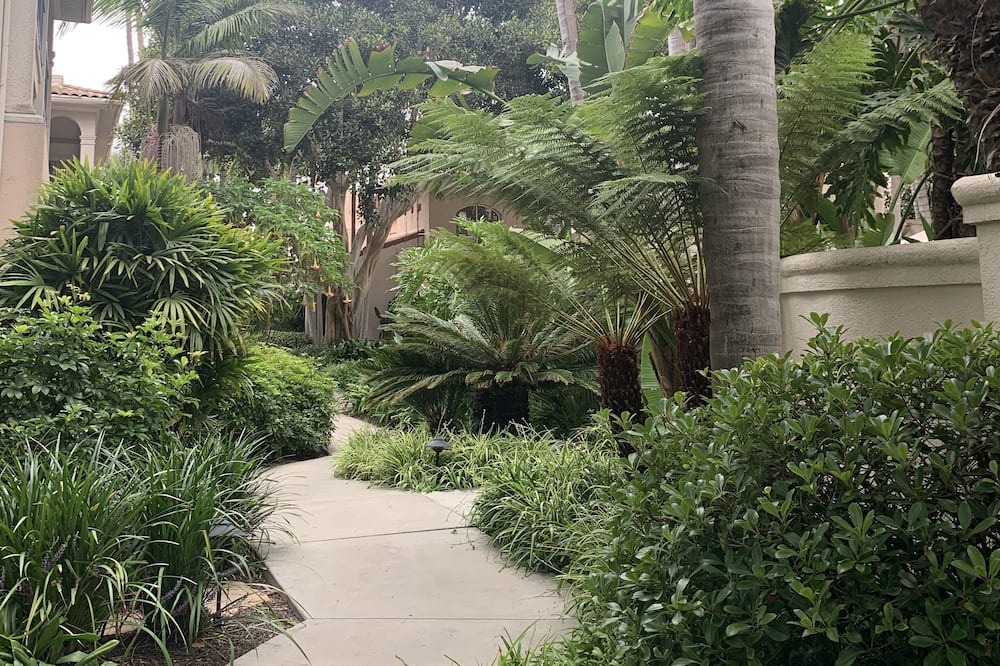 Photo of Outdoor in East Beach