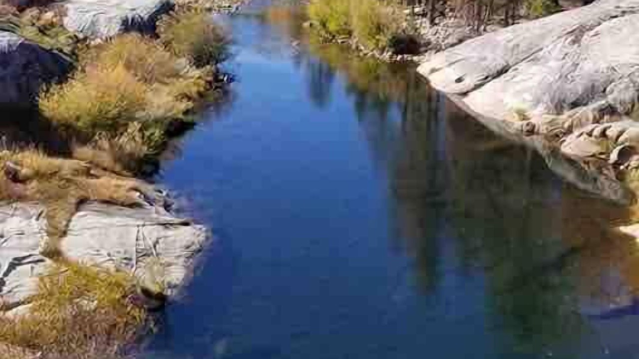 Photo of Others in Porterville