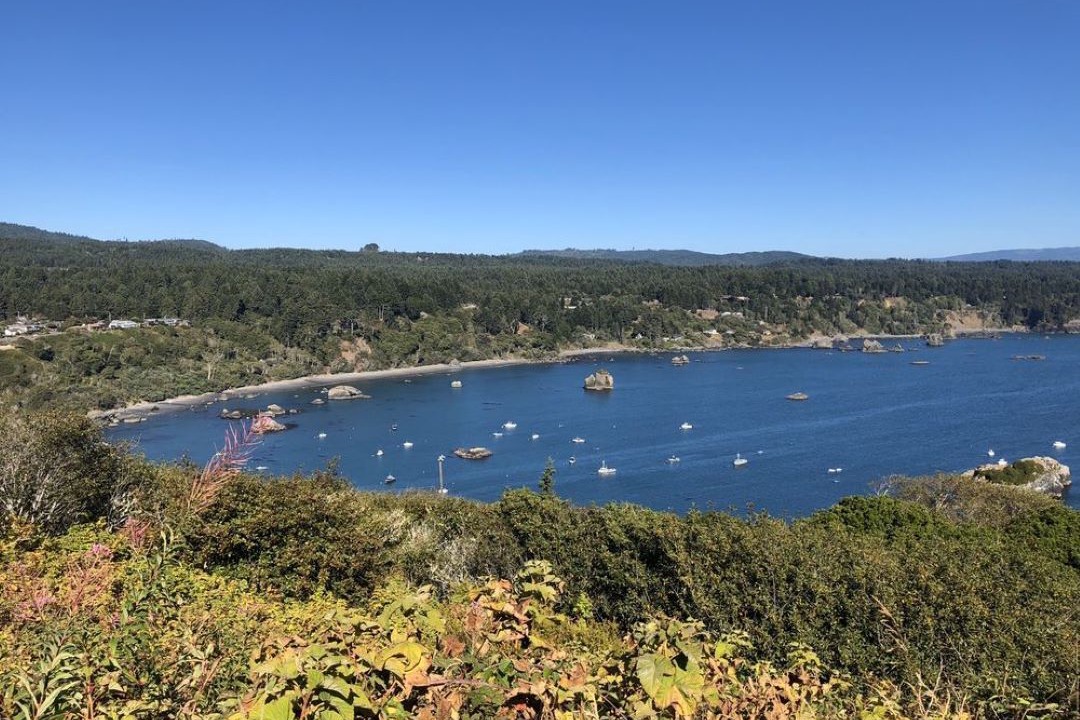 Photo of Others in McKinleyville