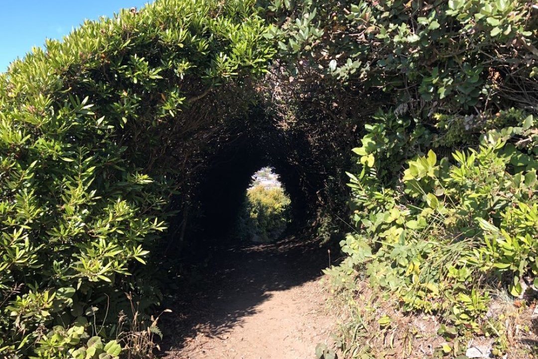 Photo of Others in McKinleyville