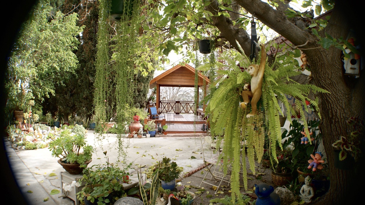 Photo of Outdoor in Silver Lake