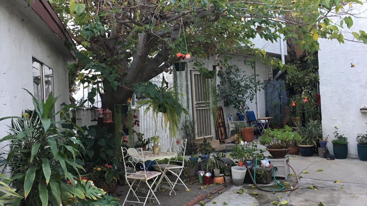 Photo of Patio Balcony in Silver Lake