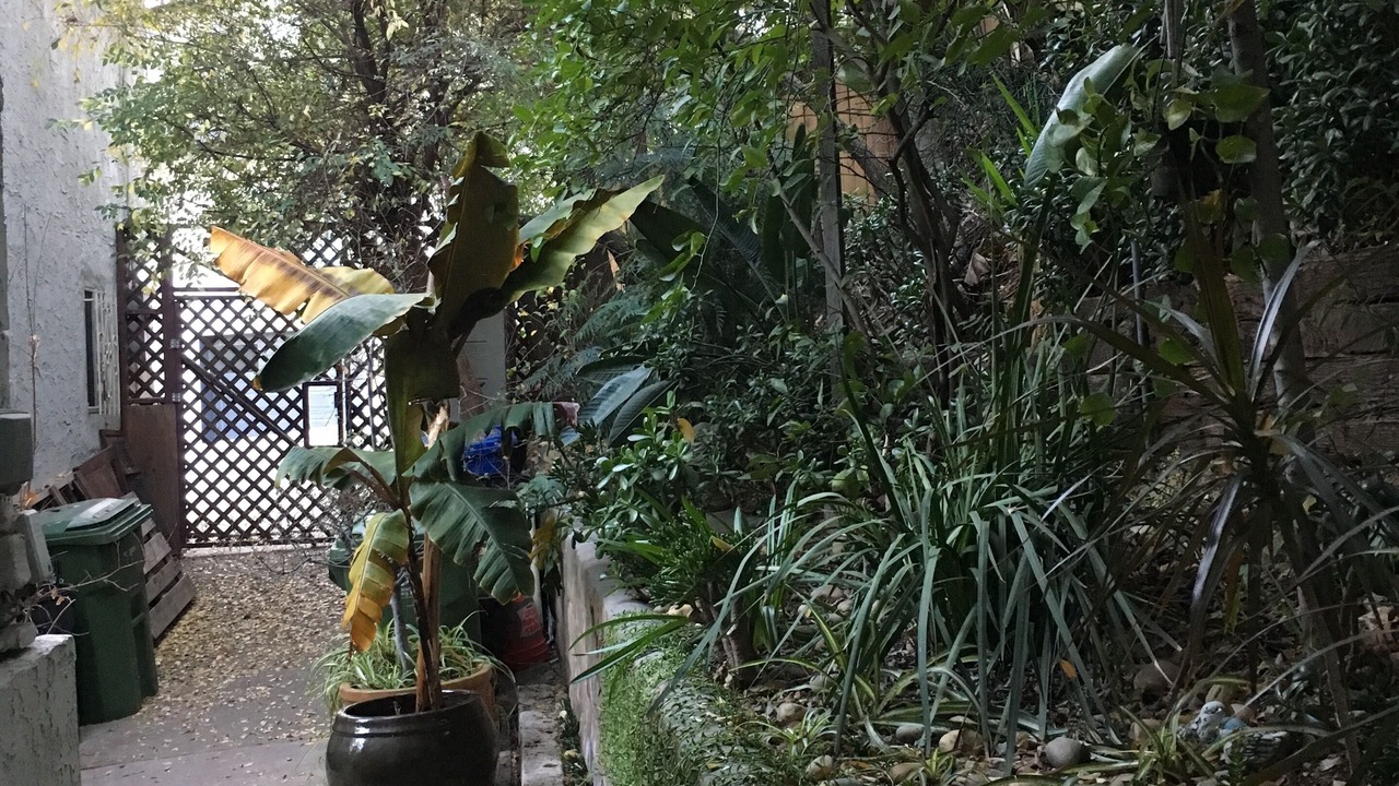 Photo of Outdoor in Silver Lake