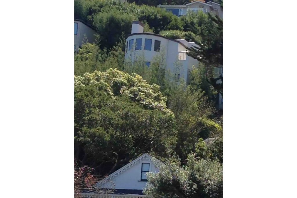 Photo of Outdoor in Sausalito